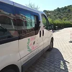 Delle Vieste